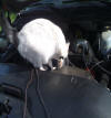 Crash works on my truck